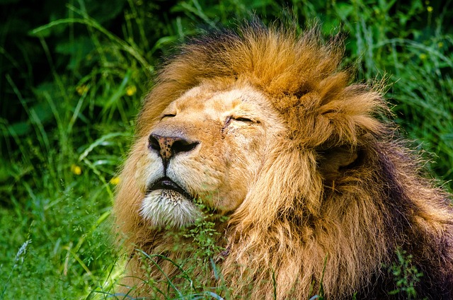 8:8 Lionsgateportal 